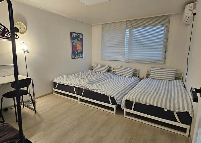 #성수 #13bed #4room #서울숲 #kspo #명동 #동대문 #초대형숙소 Seul